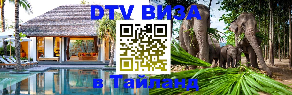 Оформление DTV визы под ключ: стоимость и тарифы, только загранпаспорт - 